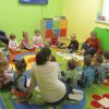 Rok 2015-2016 - Co tak szumi - Żabki